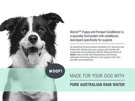 Dog Shampoo Branding Design Gold Coast